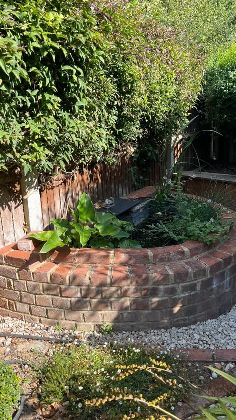 Raised brick pond in Ashford before, overgrown and netted