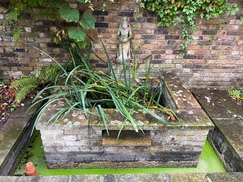 Stone fountain pond in Blackheath before, the lower pool covered in duckweed and the top pool overgrown with plants
