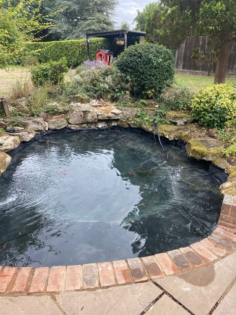 The same Orpington pond after cleaning, full of clear water with the fish