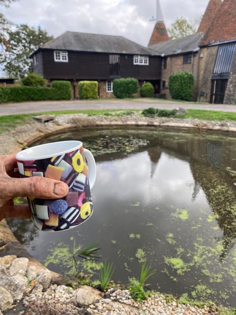 The same Rainham pond after, clear water reflecting the oast house, with my cup of tea