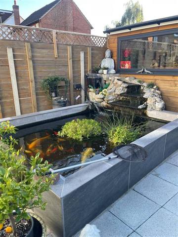 Pond filter, pump and waterfall