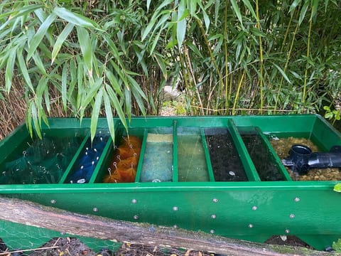 Multi-chamber pond filter in Sevenoaks after cleaning, with brushes, foam and filter media in clear water