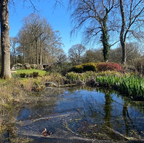 Neglected pond in Sevenoaks before, overgrown, with old netting sagging into the water