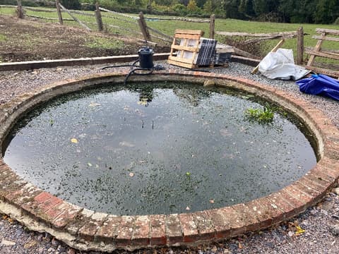 Green pond water and duckweed in a Sevenoaks pond before I cleaned it out