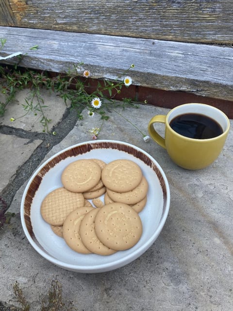 A mug of tea and a bowl of biscuits left out for me on a pond job