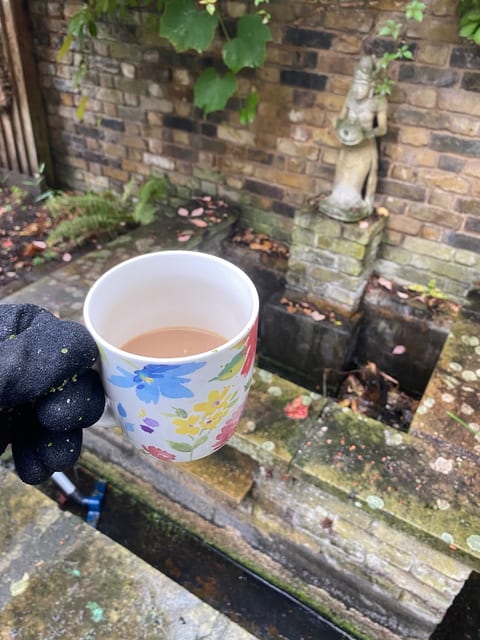 A mug of tea beside the stone fountain pond in Blackheath