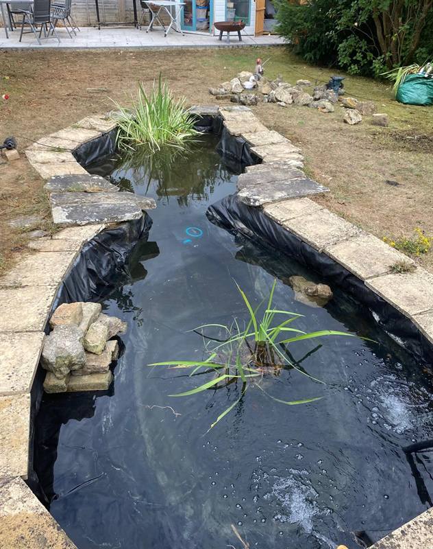 Garden pond cleaned out and refilled - pond cleaning and maintenance