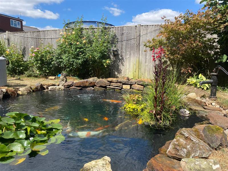 Koi pond after a full clean